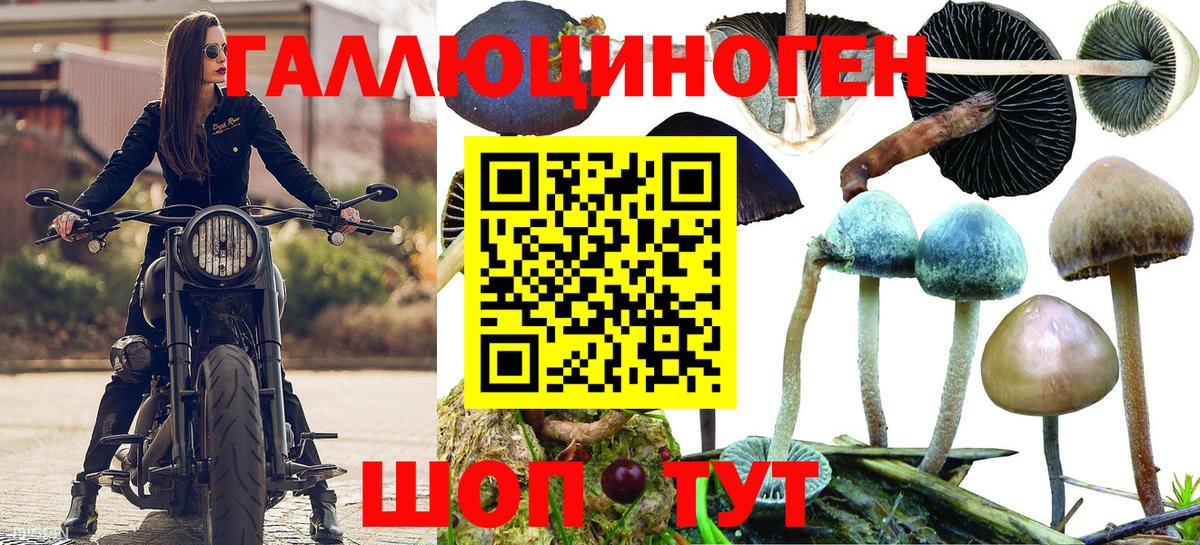 Псилоцибиновые грибы мухоморы  Вход с VPN  Рязань 