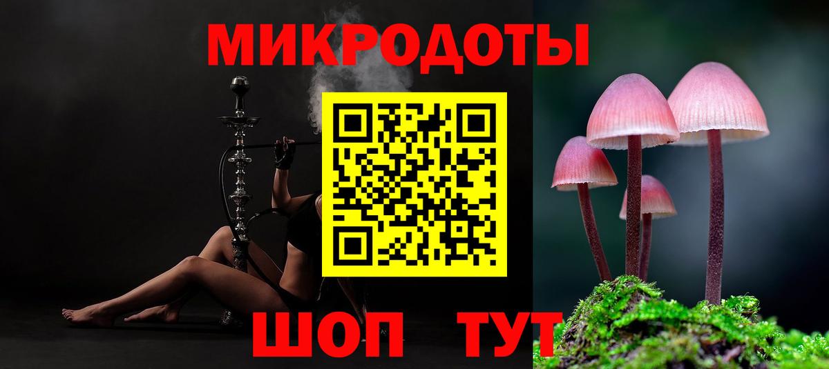 Псилоцибиновые грибы Cubensis Рязань